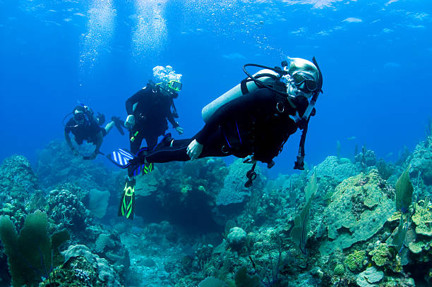 Family Scuba Diving  caribbean sea photos stock pictures, royalty-free photos & images