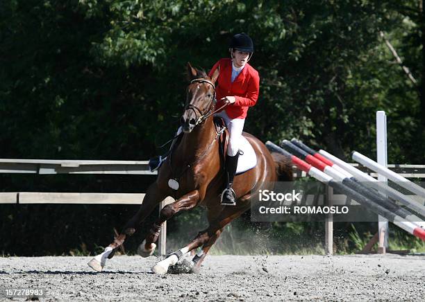 障害飛越競技 - 乗馬のストックフォトや画像を多数ご用意 - 乗馬, 競争, ジャンプする