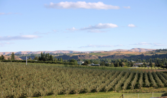 ranches,orchards and mountains of Yakima Valley,WA