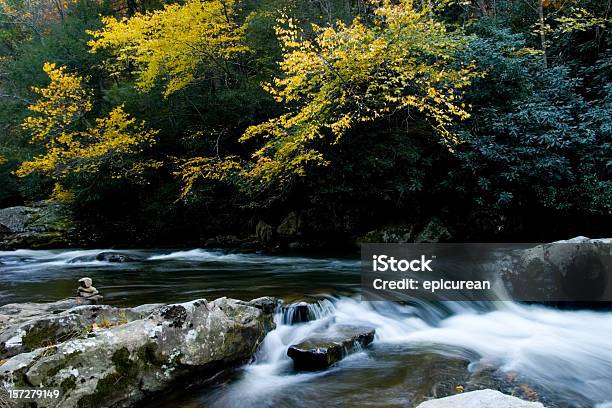 Outono Nas Montanhas - Fotografias de stock e mais imagens de Ao Ar Livre - Ao Ar Livre, Beleza natural, Carolina do Norte - Estado dos EUA