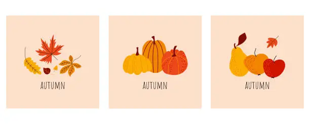 Vector illustration of Vector set of fall greeting cards with pumpkins, leaves, fruits. Greeting card, poster, template. Autumn mood. Thanksgiving invitation. Minimalist postcard with autumn theme. Hand-drawn style.