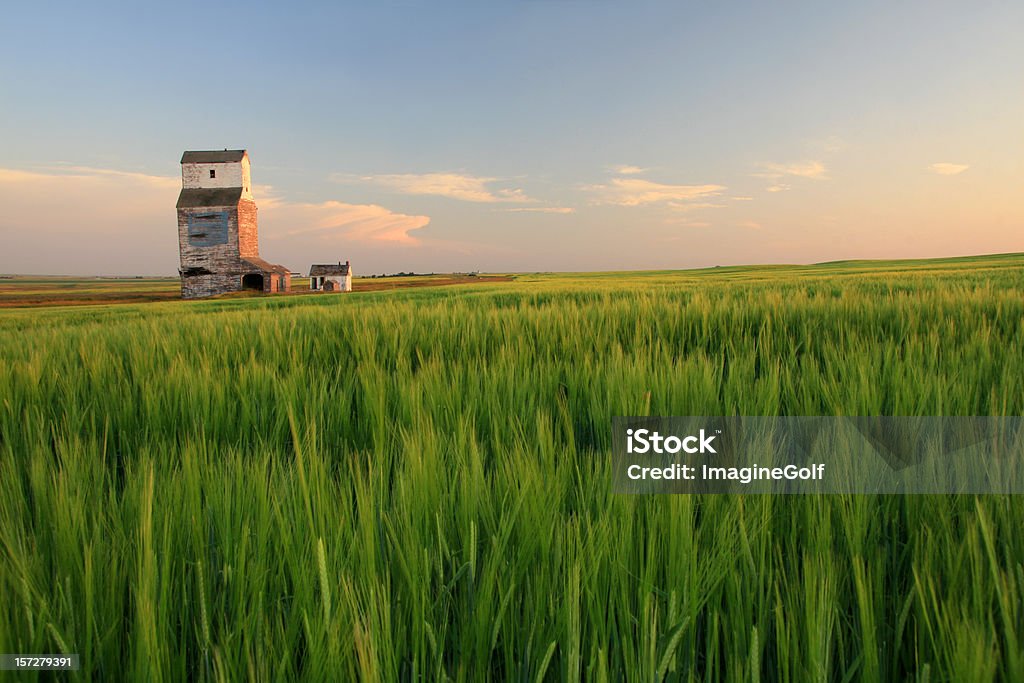 Деревянные Зерновой элеватор on the Prairie - Стоковые фото Альберта роялти-фри