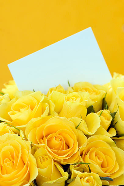 Yellow Roses Invitation stock photo