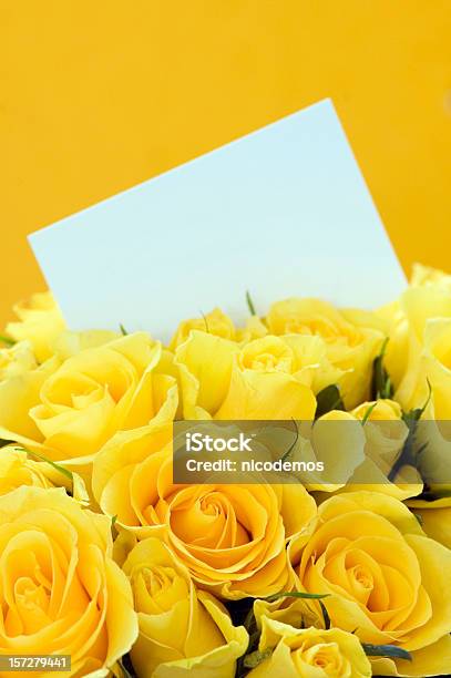 Yellow Roses Invitation Stock Photo - Download Image Now - Get Well Card, Yellow, Rose - Flower
