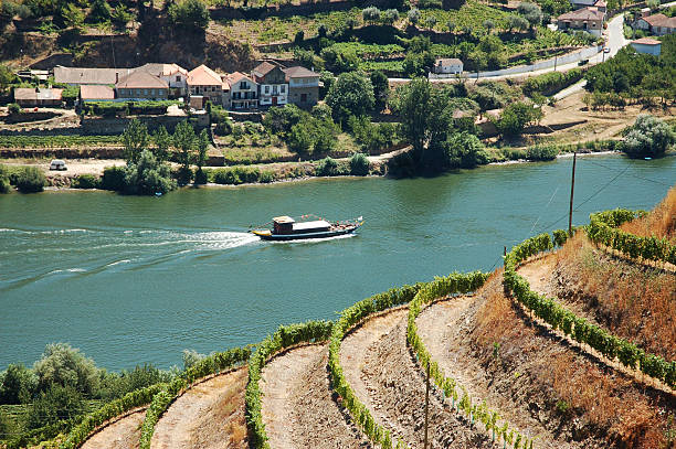 Alto Douro, Port Wine region  rabelo boat stock pictures, royalty-free photos & images