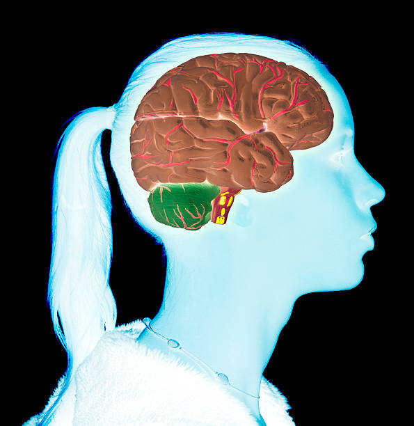 Mysterious brain of the teenage girl. X-ray type effect.
