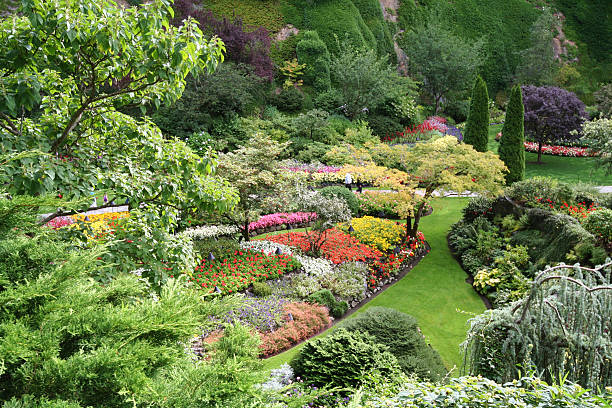 istock Spectacular Garden during Spring Season 157280000
