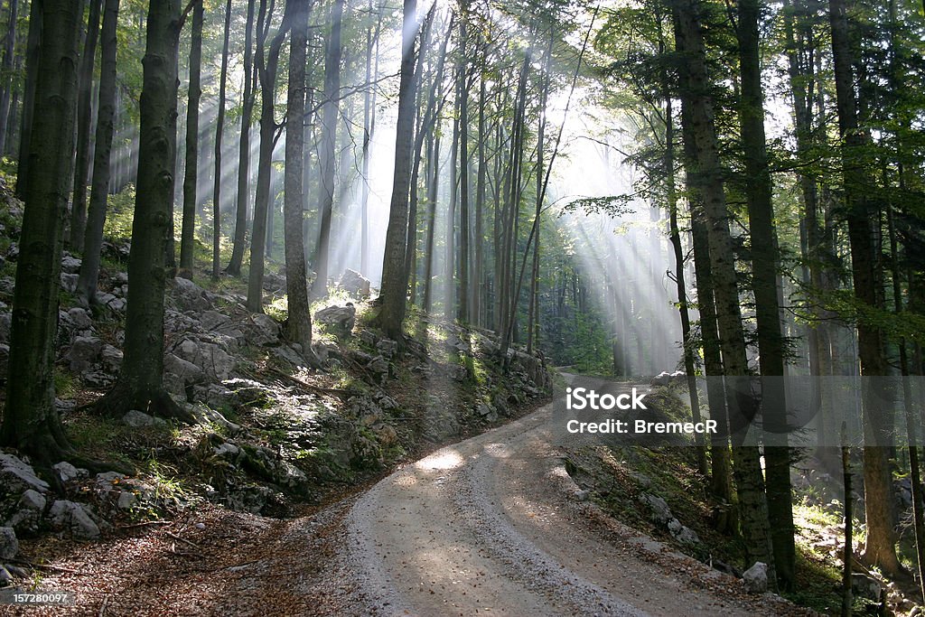 Rayos de luz - Foto de stock de Actividad al aire libre libre de derechos