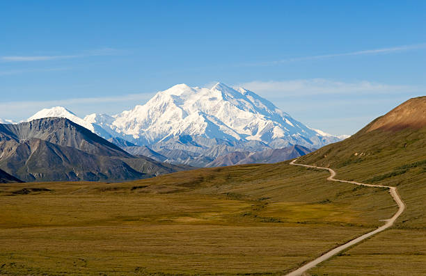 Path to Beautiful Mount McKinley in Alaska Spectacular view of Alaska's Mt. McKinley, (also known as Denali), the tallest mountain in North America. denali mountain stock pictures, royalty-free photos & images