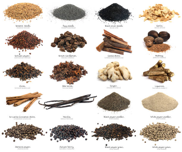 Twenty spices. XXXL. Second part. Similar photos on my portfolio. Spices isolated on white with his name in english and its scientific name. This image is one of a serie of three. The spices are: sesame seeds, Poppy seeds, Black onion seeds, Garlic, Sichuan pepper, Brown cardamom, Cassia sticks, Nutmeg, Clove, Star anise, Ginger, Liquorice, Sri Lanka cinnamon sticks, Vanilla, Black pepper powder, White pepper powder, Jamaica pepper, Juniper berry, Black pepper grain, White pepper grain. allspice stock pictures, royalty-free photos & images