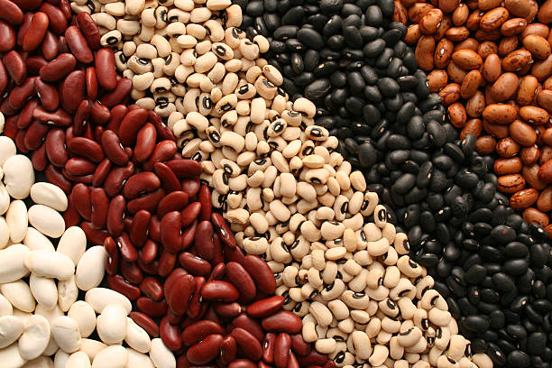 Beans diagonals stock photo