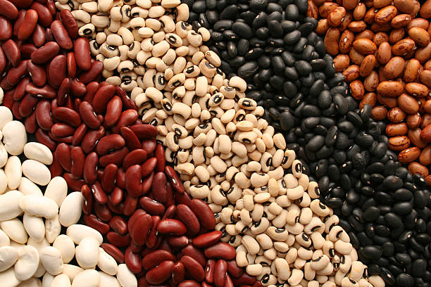 Beans diagonals Diagonal stripes of brown shaded beans beans stock pictures, royalty-free photos & images