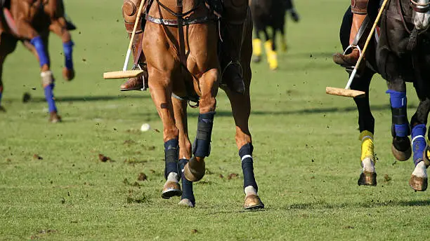 Photo of Polo action