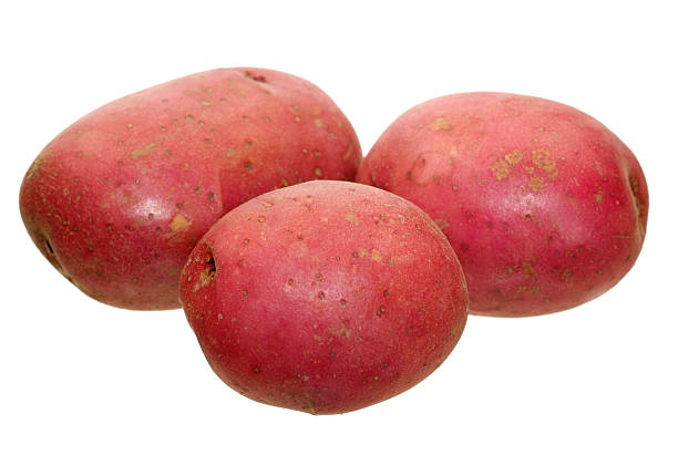 nahaufnahme bild von drei rote kartoffeln - red potato raw potato red vegetable stock-fotos und bilder