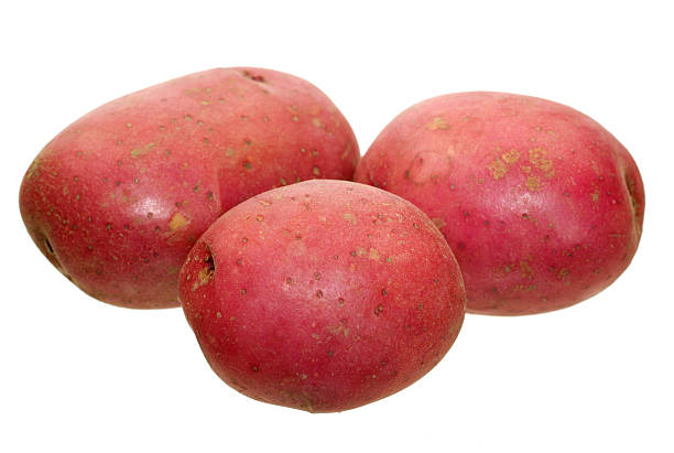 クローズアップイメージの 3 つの赤いポテト - raw potato red potato red nutrient ストックフォトと画像