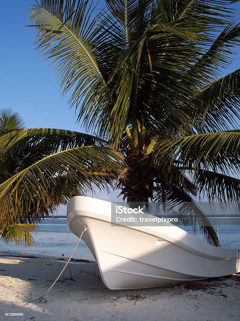 Boat under Palm Scene from a tiny fishing village on the Caribbean. Bermuda Stock Photo