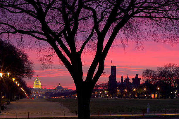 Capitol Hill in morning red Capitol Hill and the Smithsonian museum in Washington D.C. in the red light of early morning. Seen from just before Washington monument. The start of a new political day. smithsonian museums stock pictures, royalty-free photos & images