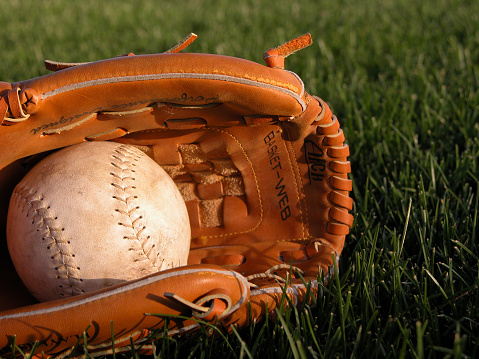 leather baseball mit cradling softball resting in the green grass of the outfield.