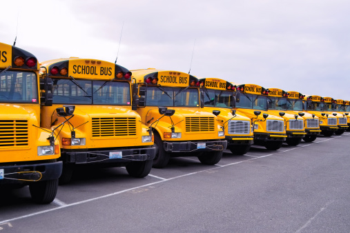 Seemingly endless row of yellow school buses.