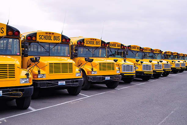 School Bus Lineup Seemingly endless row of yellow school buses. school buses stock pictures, royalty-free photos & images