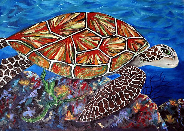 ilustrações de stock, clip art, desenhos animados e ícones de gráficos-tartaruga do mar - oilpaint