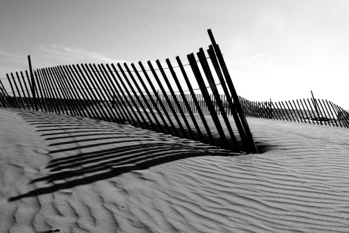 Fenced dunes on the coast of De Haan, Belgium