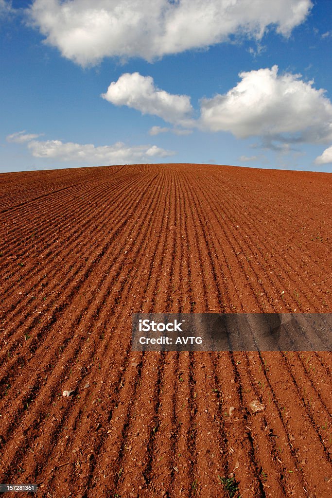 Почвы III - Стоковые фото Без людей роялти-фри