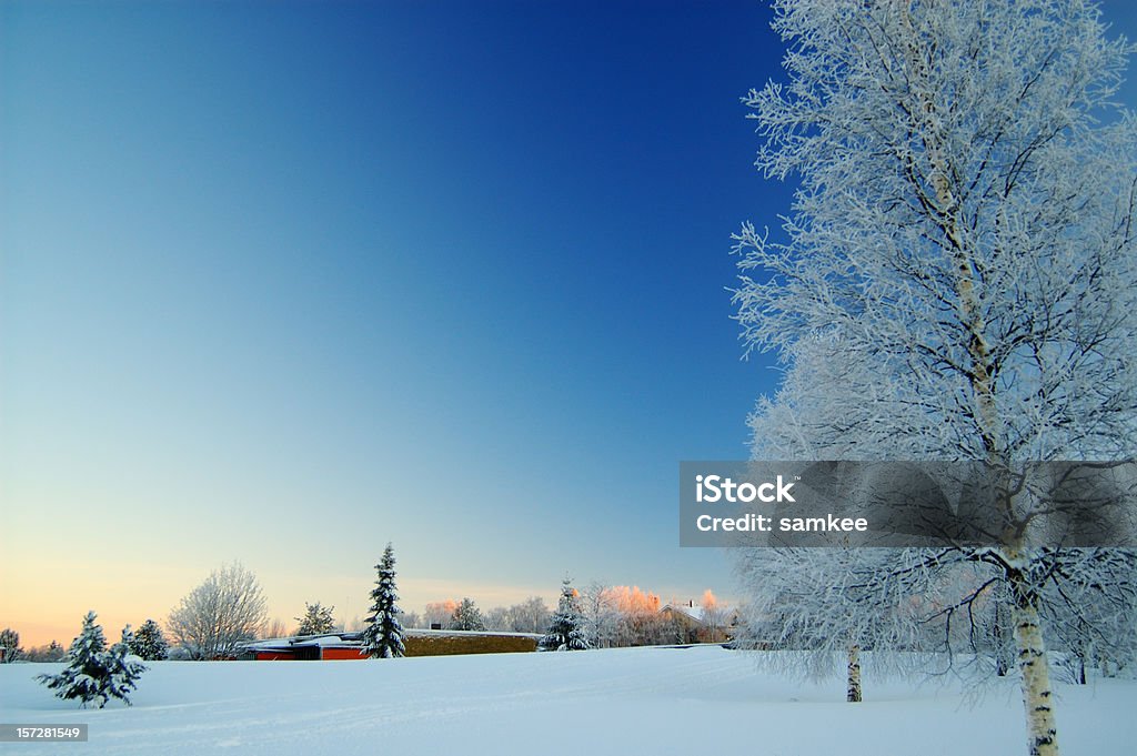 D'hiver - Photo de Finlande libre de droits