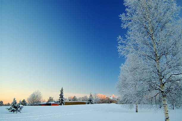 A beautiful view of a field during winter stock photo