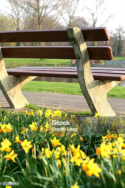 Park Bench Und Gelbe Narzissen Stockfoto und mehr Bilder von April - April, Blume, Entspannung