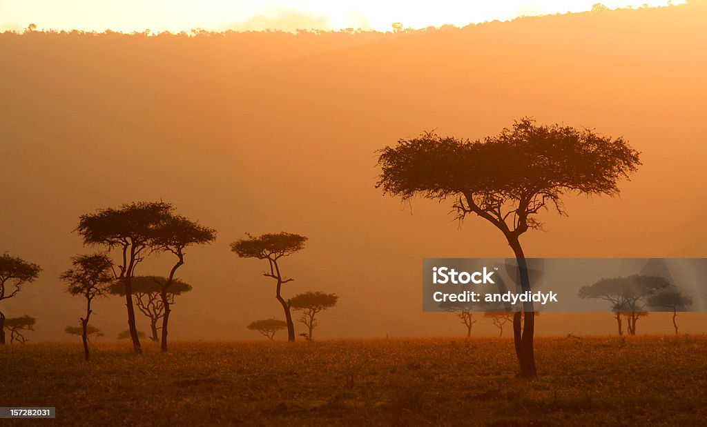 Dusty nascer do sol de Serengeti - Royalty-free Acácia Foto de stock