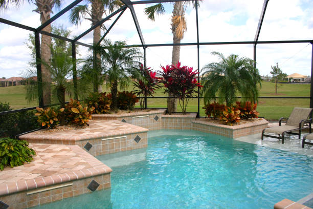 istock Swimming  Pool with Tropical Garden 157282046