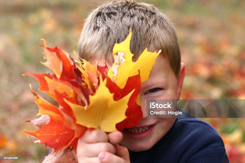 A portrait of a smiling young boy hiding behind leaves Little boy playfully hiding behind a handful of leaves. One Person Stock Photo