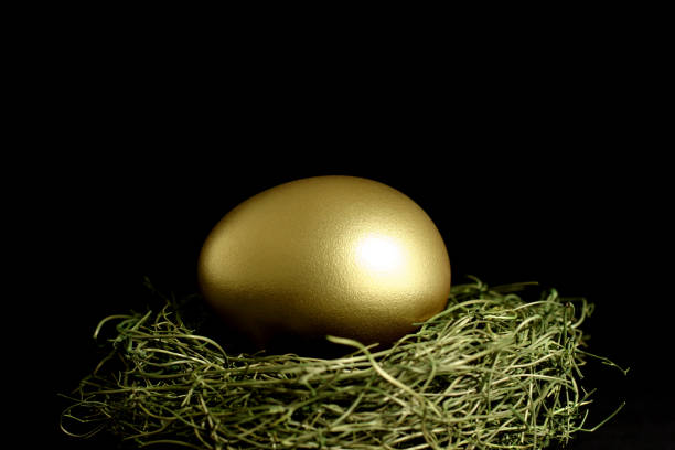 istock Golden Egg in Nest on Black Background 157282117