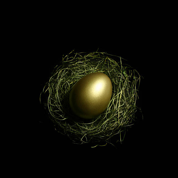 istock Golden Egg in a Nest on Black Background Top View 157282118