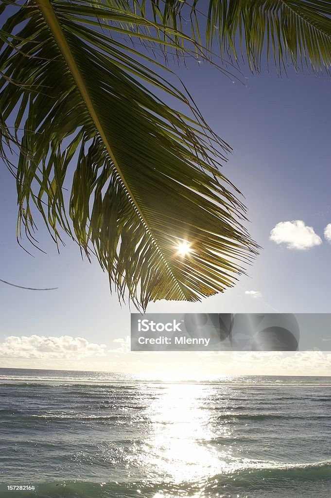 Pôr do sol na praia na ilha - Foto de stock de Alegria royalty-free