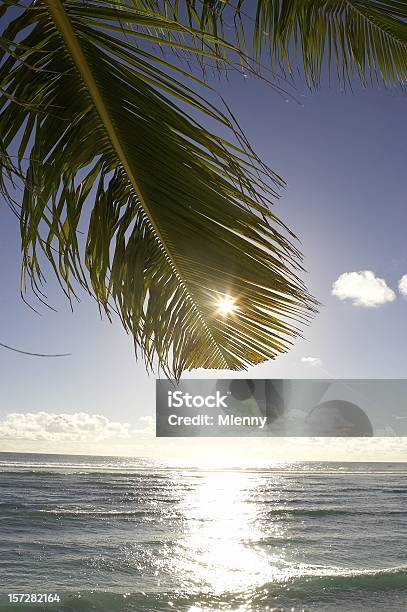 Pôr Do Sol Praia De Ilha - Fotografias de stock e mais imagens de Alegria - Alegria, Ao Ar Livre, Azul