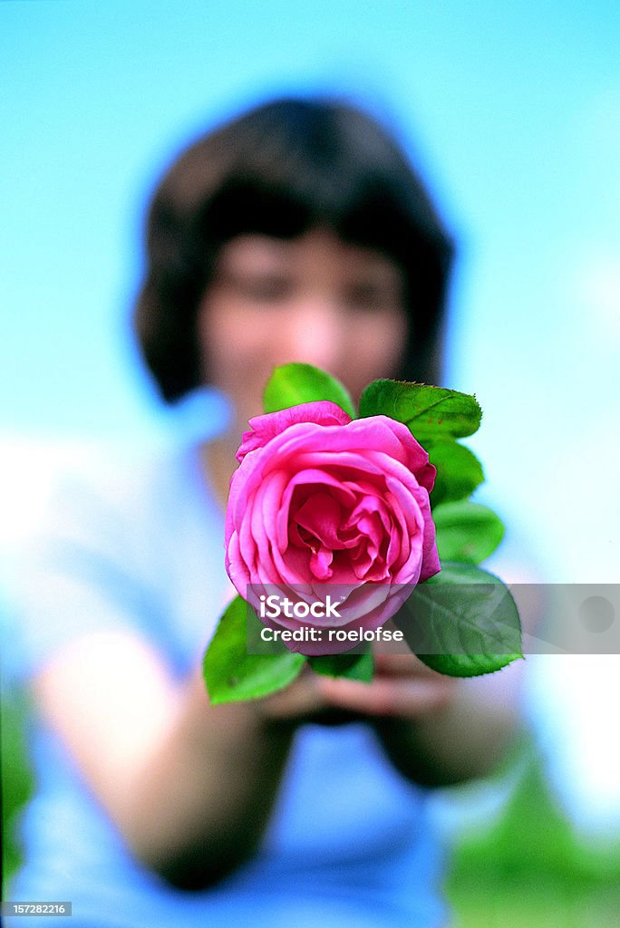 Mulheres segurando rosas - Foto de stock de Adulto royalty-free