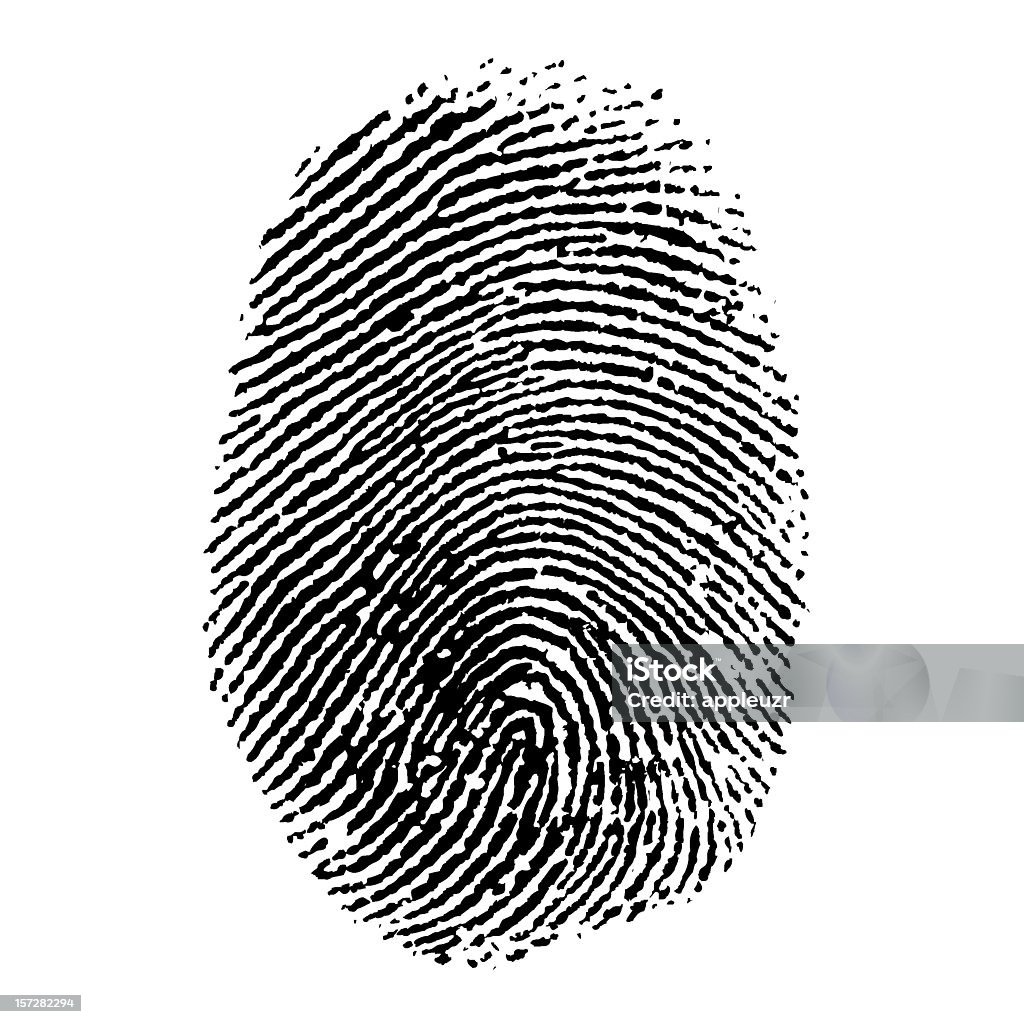 Finger Print  Fingerprint Stock Photo