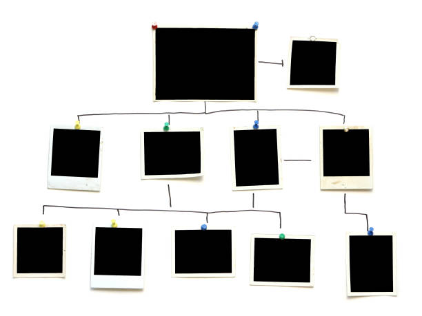 verbrechen familie organigramm - stammbaum stock-fotos und bilder