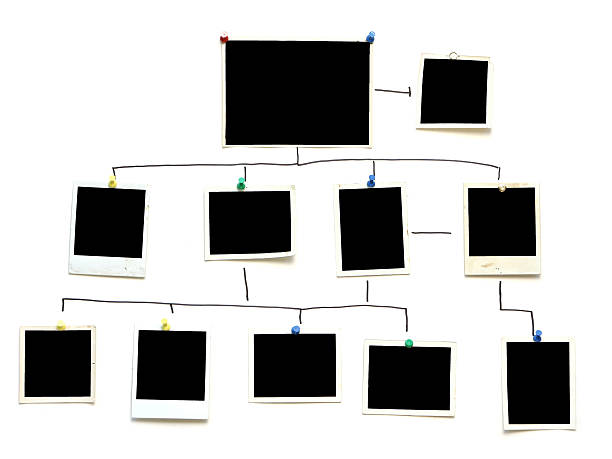 crime família organograma de empresa - árvore genealógica - fotografias e filmes do acervo