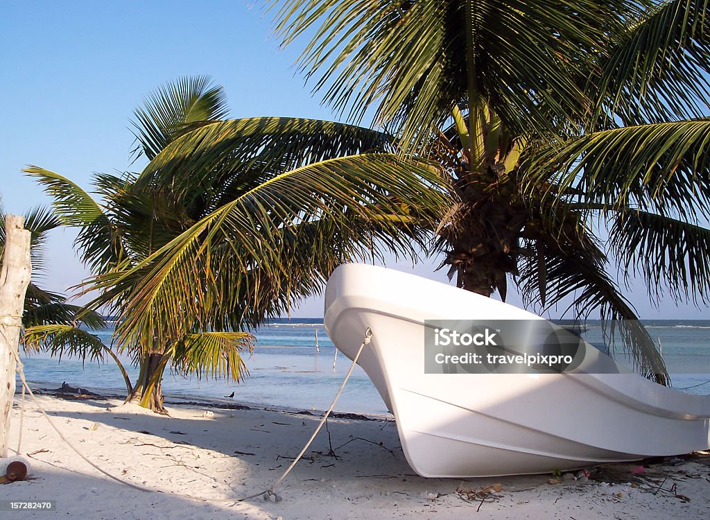 아래에서 낚시는요 배죠 팜형 나무 카리브계 풍경 - 로열티 프리 0명 스톡 사진
