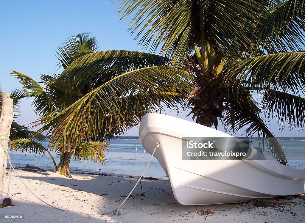 Fishing Boat Under Palm Tree Caribbean Landscape  Beach Stock Photo