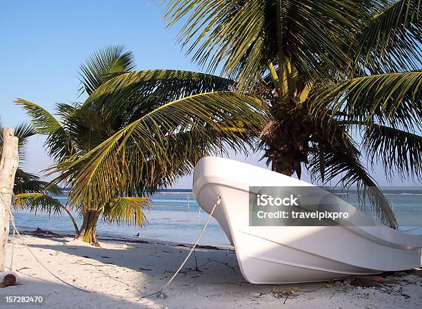 Fishing Boat Under Palm Tree Caribbean Landscape Stock Photo - Download Image Now - Beach, Beauty In Nature, Blue