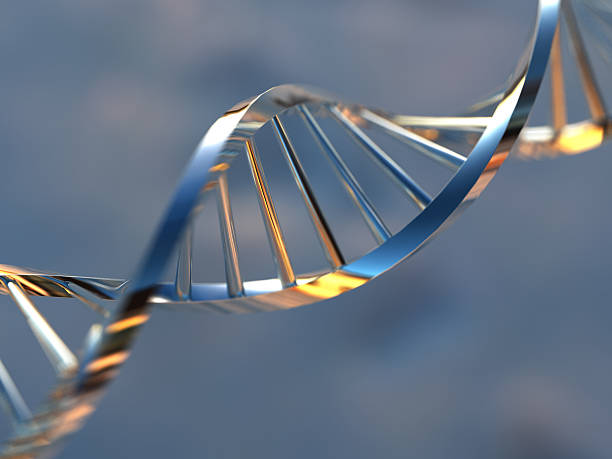 istock A metallic strand of DNS against a blurred background 157282564