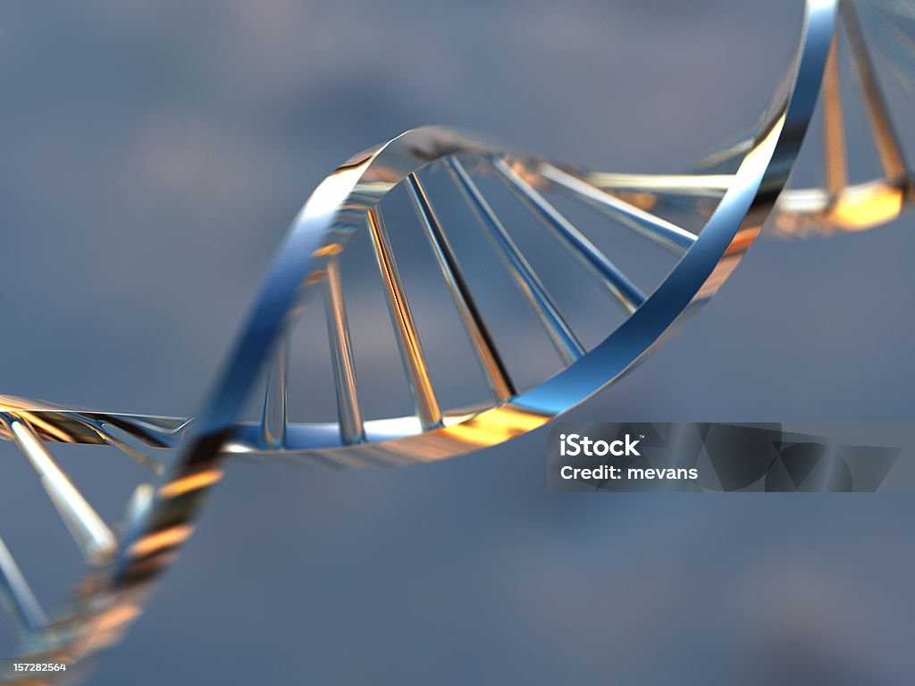 DNA Strand - Royalty-free ADN Foto de stock