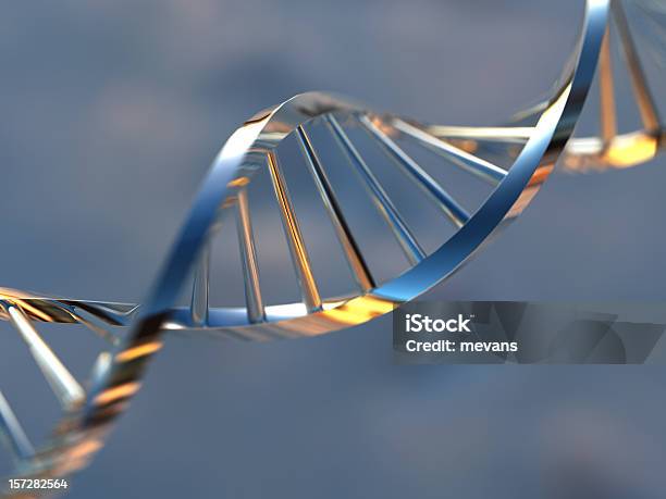 Dna Strand - Fotografias de stock e mais imagens de ADN - ADN, Modelo de Hélice, Ampliação