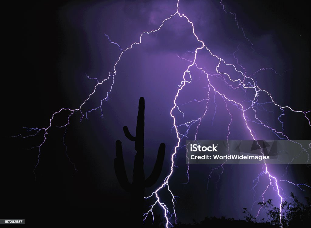 lightning grève sur Cactus Saquaro - Photo de Arizona libre de droits