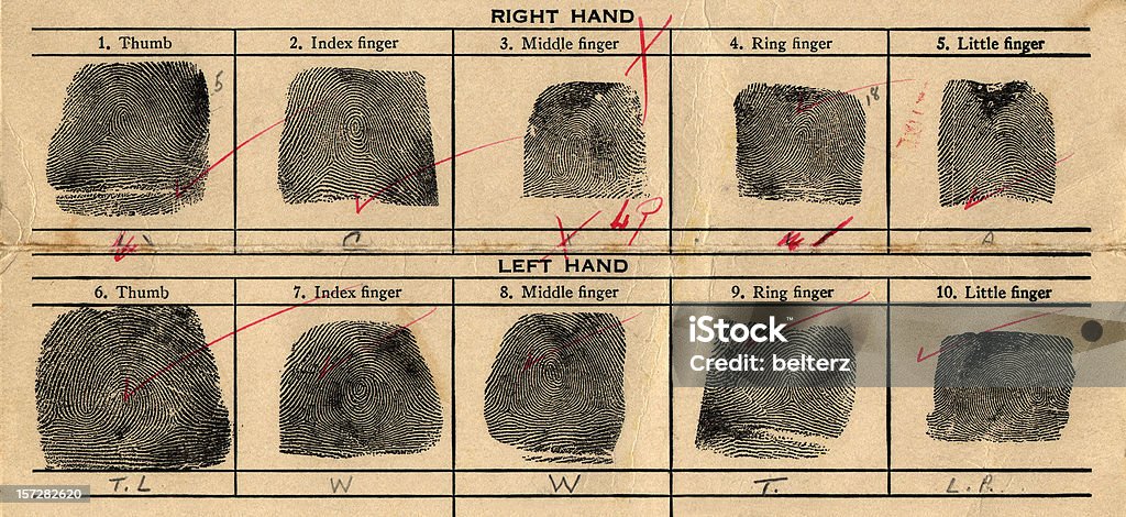 fingerprints  Fingerprint Stock Photo