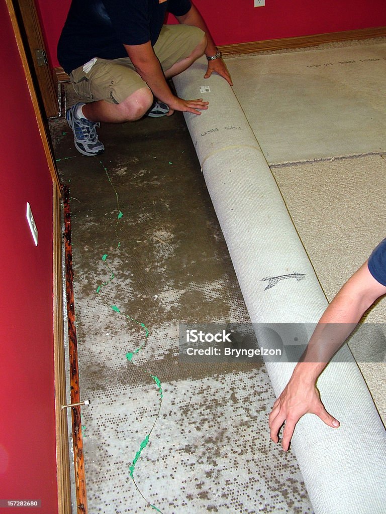 Roll Back Wet Carpet This is a water damage clean-up in a residential home. Water Stock Photo